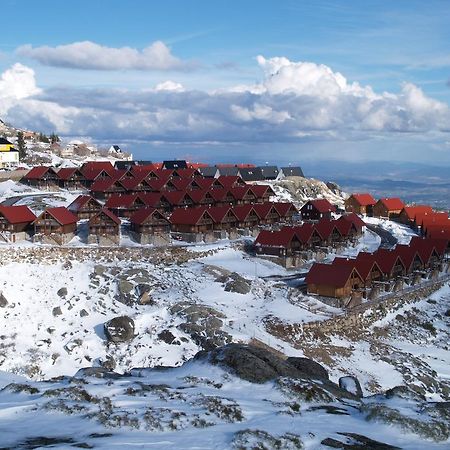 Luna Chalets Da Montanha - Serra Da Estrela Covilhã Exteriér fotografie